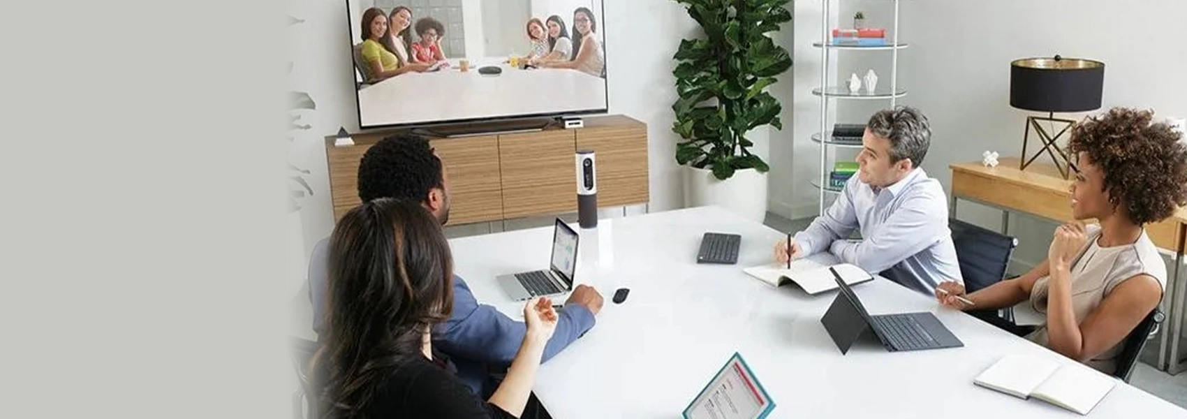 Logitech - ConferenceCam Connect